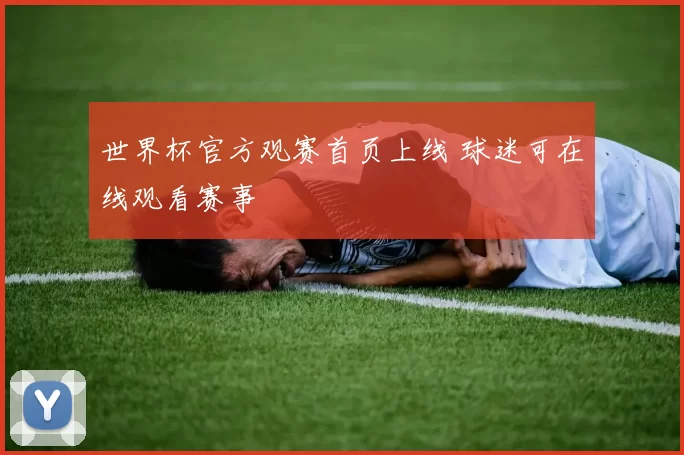 世界杯官方观赛首页上线 球迷可在线观看赛事