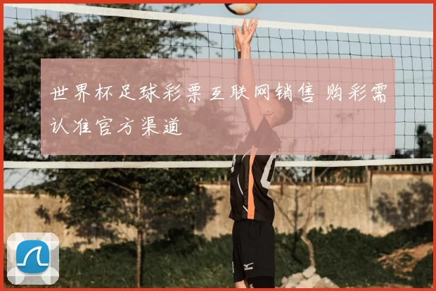 世界杯足球彩票互联网销售 购彩需认准官方渠道