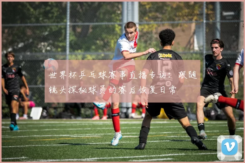 世界杯乒乓球赛事直播专访:跟随镜头探秘球员的赛后恢复日常