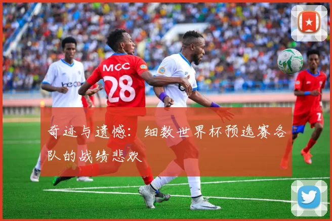 奇迹与遗憾：细数世界杯预选赛各队的战绩悲欢