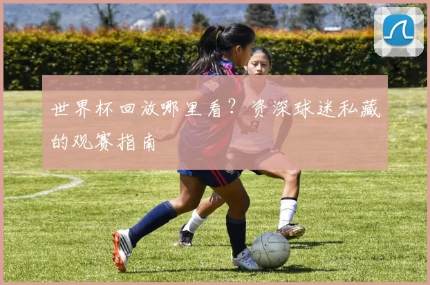 世界杯回放哪里看?资深球迷私藏的观赛指南
