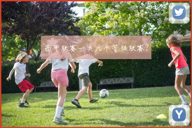 西甲联赛一共几个等级联赛?