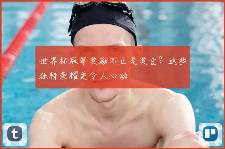 世界杯冠军奖励不止是奖金?这些独特荣耀更令人心动