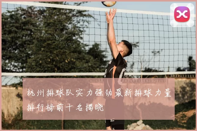 杭州排球队实力强劲最新排球力量排行榜前十名揭晓