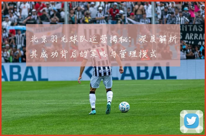 北京羽毛球队运营揭秘：深度解析其成功背后的策略与管理模式