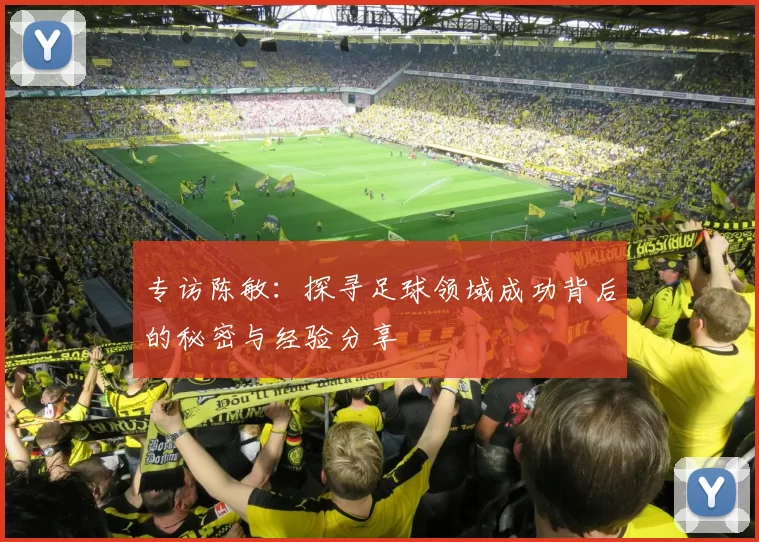 专访陈敏：探寻足球领域成功背后的秘密与经验分享