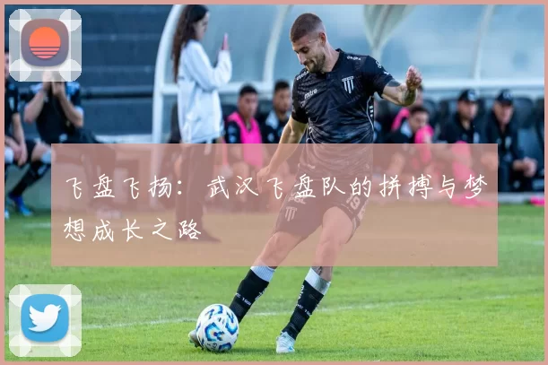 飞盘飞扬：武汉飞盘队的拼搏与梦想成长之路