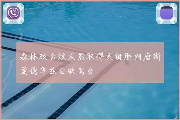 森林狼击败灰熊取得关键胜利唐斯爱德华兹合砍高分