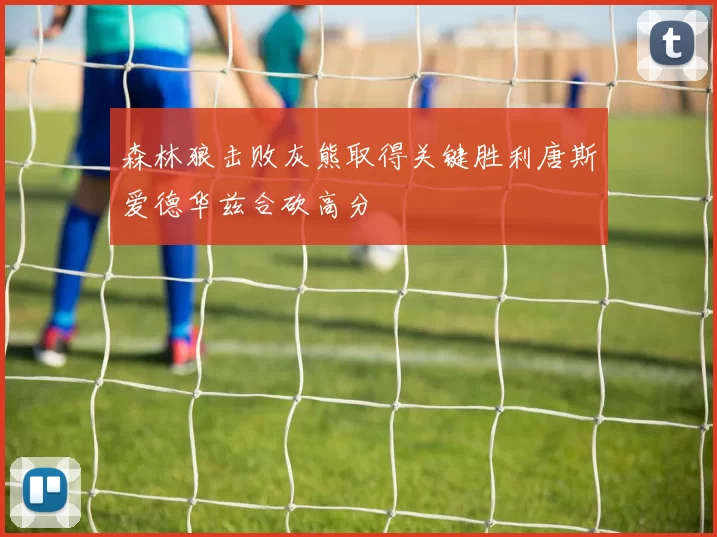 森林狼击败灰熊取得关键胜利唐斯爱德华兹合砍高分